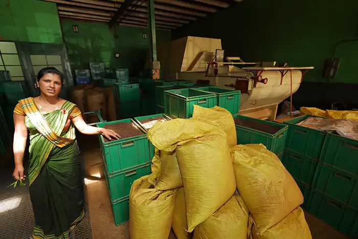 Dambatenne Tea Factory