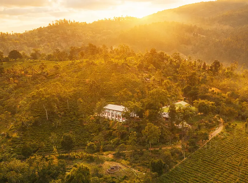 Tea Tree Resort about pic 001