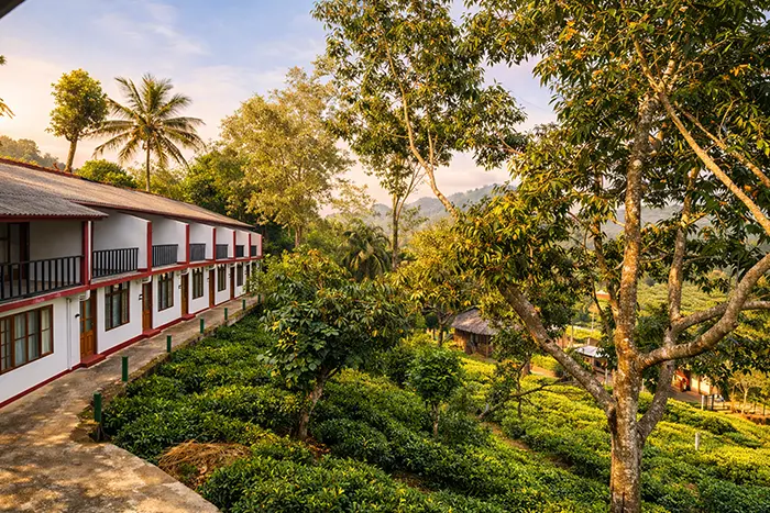 Tea Tree Resort intro pic 014